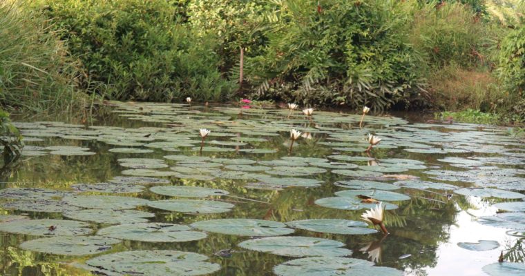 ความงดงามทรัพยากรธรรมชาติโมคลานเมืองเก่าบริเวณใจกลางเมือง